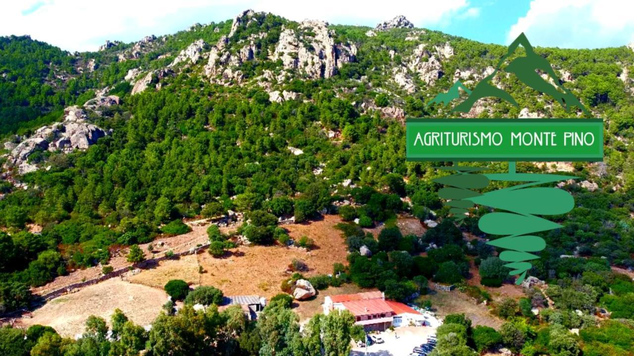 Agriturismo Monte Pino Telti Bagian luar foto