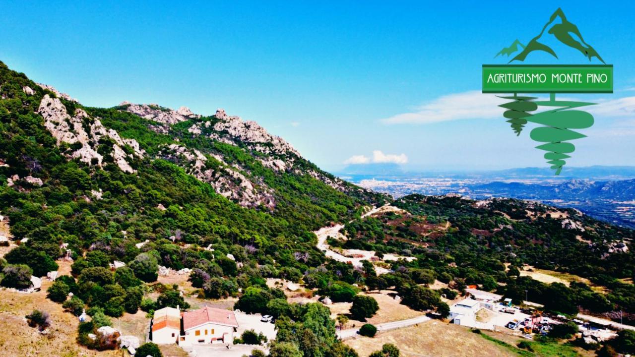 Agriturismo Monte Pino Telti Bagian luar foto