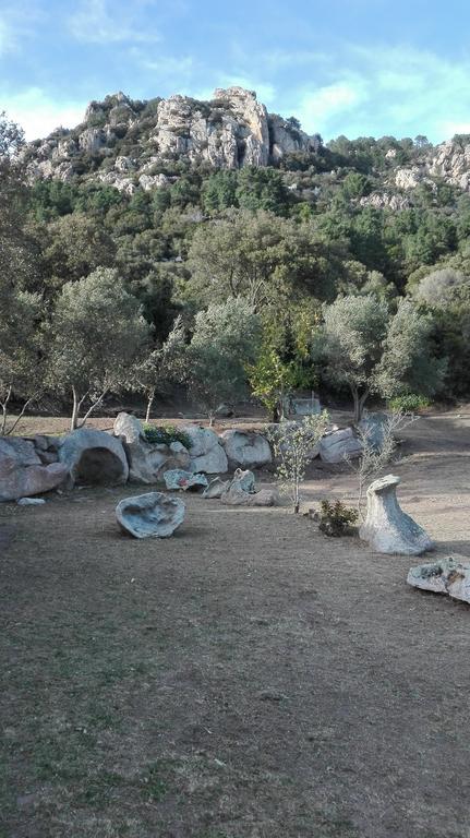 Agriturismo Monte Pino Telti Bagian luar foto