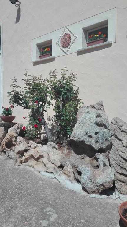 Agriturismo Monte Pino Telti Bagian luar foto
