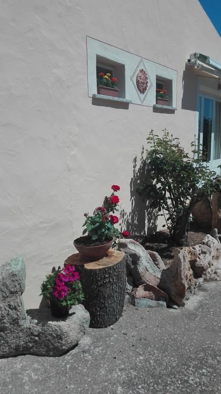 Agriturismo Monte Pino Telti Bagian luar foto