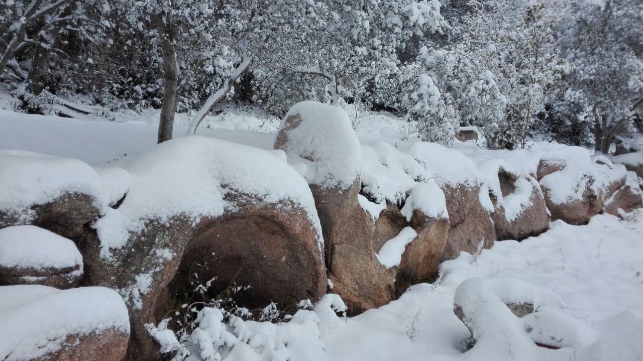 Agriturismo Monte Pino Telti Bagian luar foto