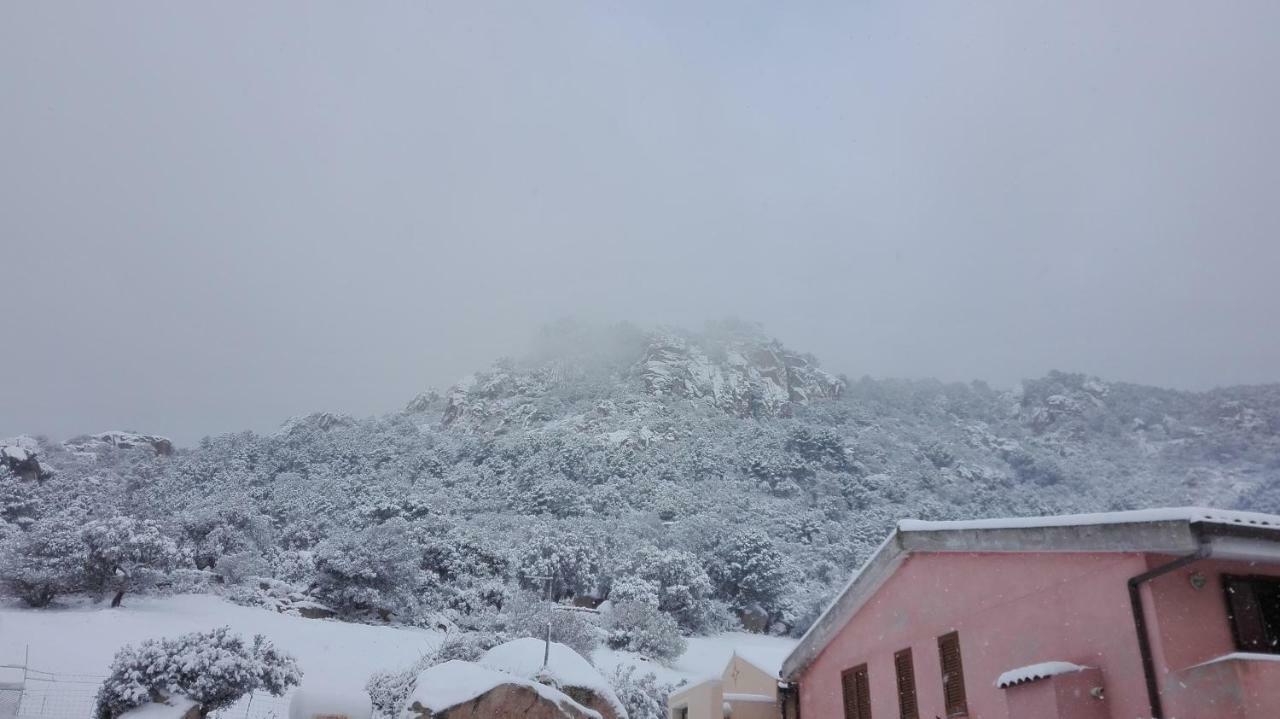 Agriturismo Monte Pino Telti Bagian luar foto