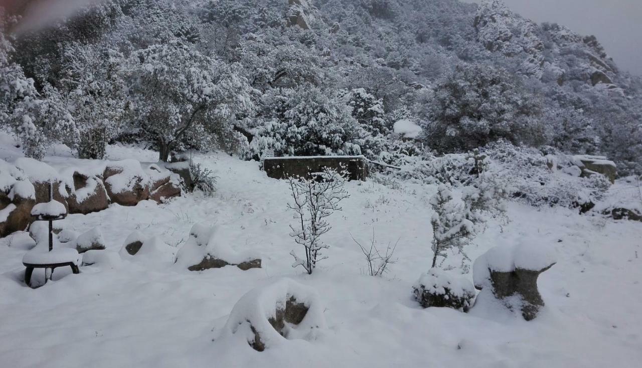 Agriturismo Monte Pino Telti Bagian luar foto