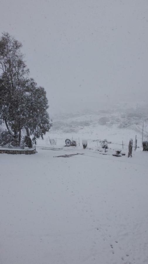 Agriturismo Monte Pino Telti Bagian luar foto