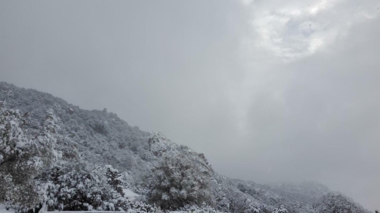 Agriturismo Monte Pino Telti Bagian luar foto