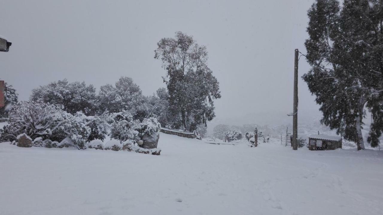 Agriturismo Monte Pino Telti Bagian luar foto