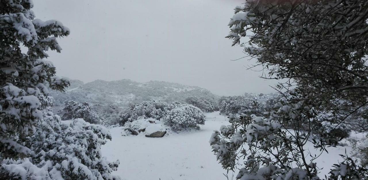 Agriturismo Monte Pino Telti Bagian luar foto