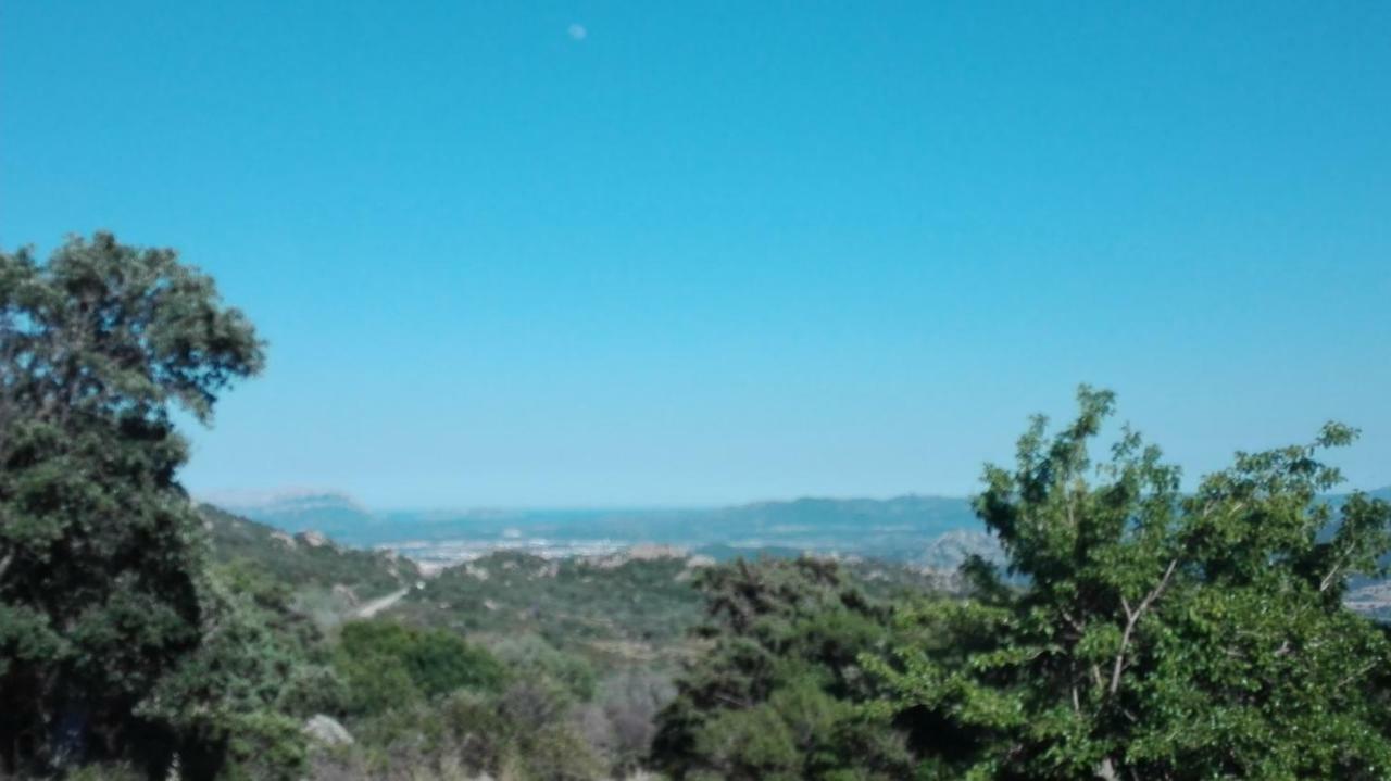 Agriturismo Monte Pino Telti Bagian luar foto