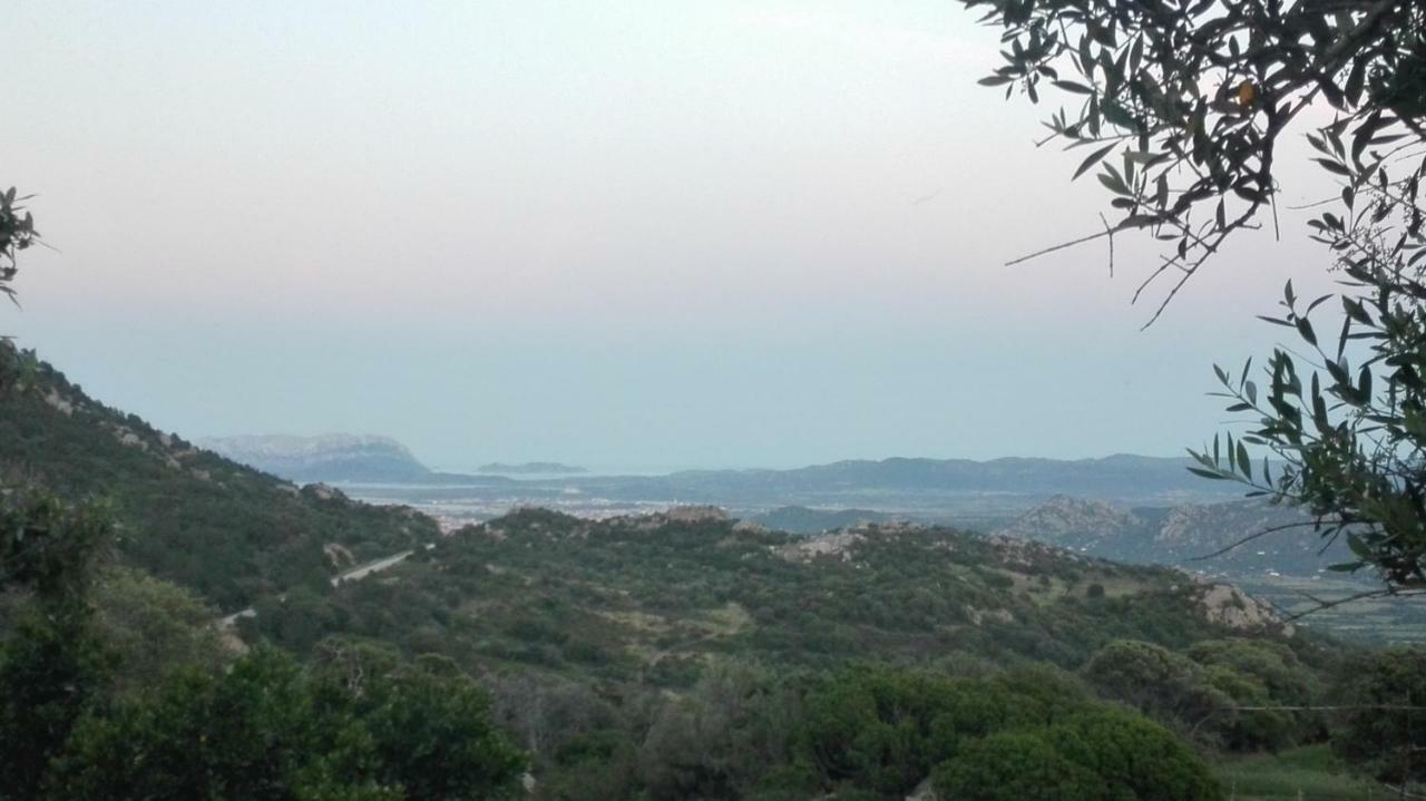 Agriturismo Monte Pino Telti Bagian luar foto